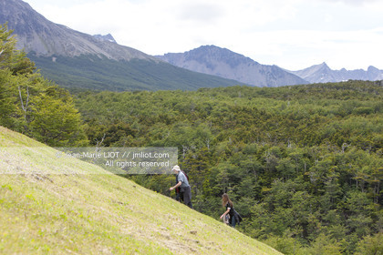 .Ushuaia, Tierra del Fuego is the southernmost city of globe.Situated to the tip of Argentina this province is the gateway to the antartique..photo © Jean-Marie Liot