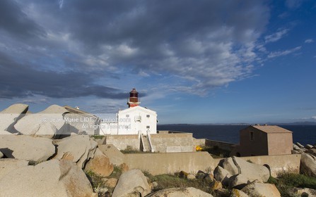 VOILES ET VOILIERS - CORSE DU SUD - LAVEZZI