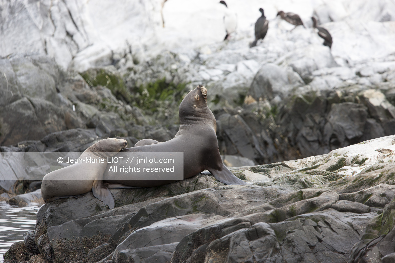 Ushuaia, Terre de Feu est la ville la plus australe du globe.Située à la pointe de l'Argentine cette province est la porte de l'antartique.photo © Jean-Marie Liot.