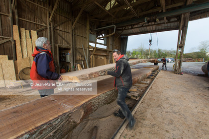 SCIERIE - DECOUPE DE BOIS