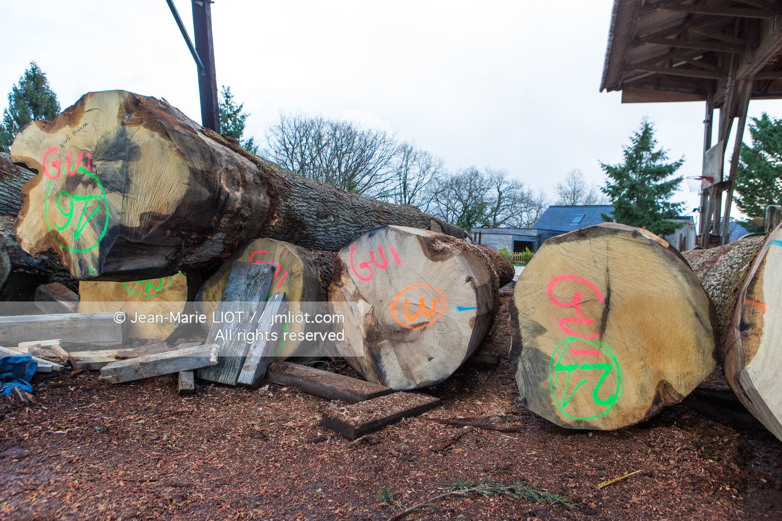 SCIERIE - DECOUPE DE BOIS
