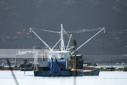 .Ostreiculture oyster beds in the Gulf of Neptune..Photo © JEAN- MARIE LIOT.