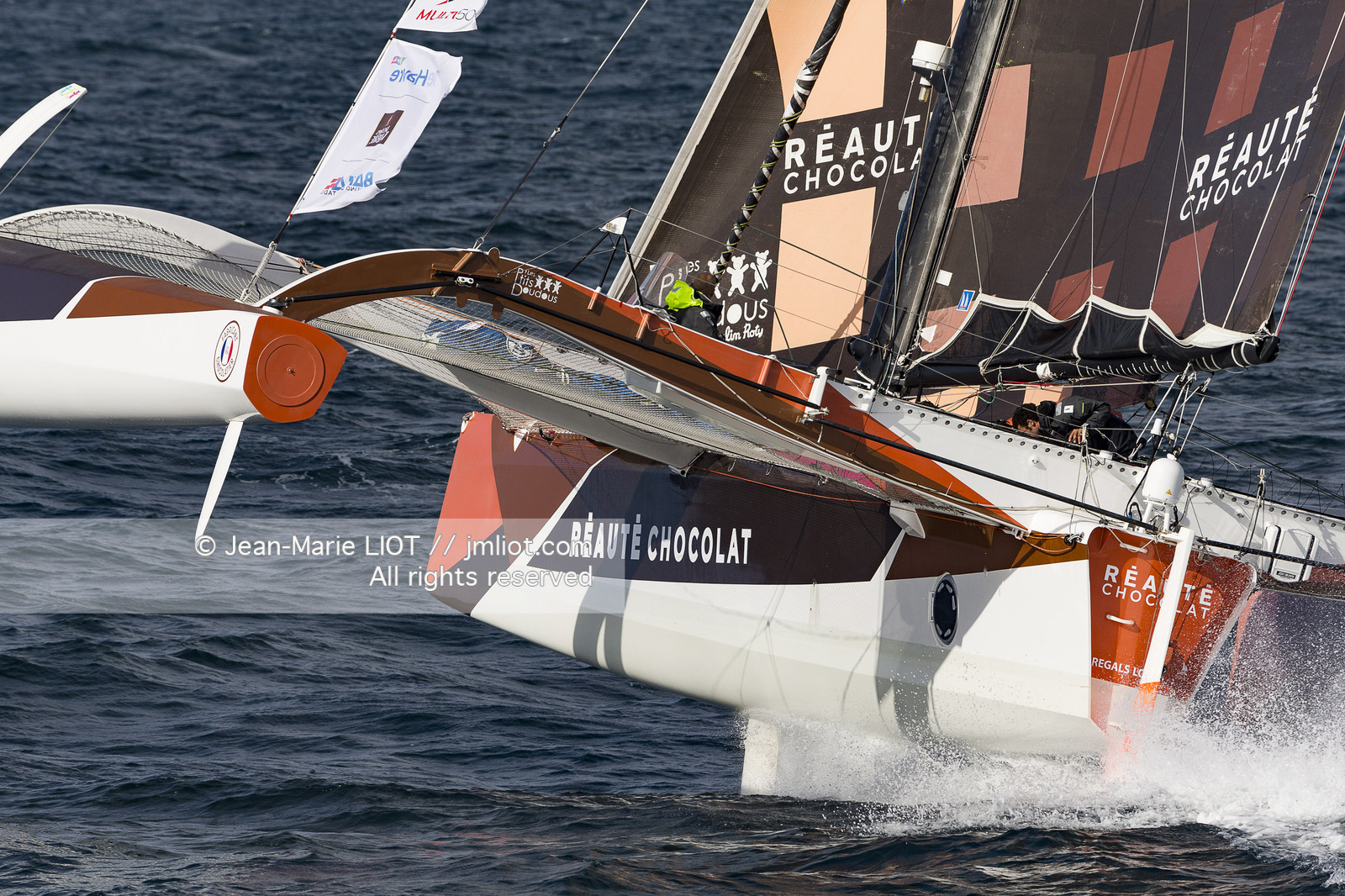 SAILING - TRANSAT JACQUES VABRE 2017 - ARMEL TRIPON