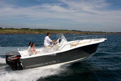 WHITE SHARK 226