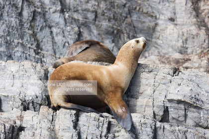.Ushuaia, Tierra del Fuego is the southernmost city of globe.Situated to the tip of Argentina this province is the gateway to the antartique..photo © Jean-Marie Liot