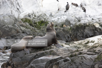 .Ushuaia, Tierra del Fuego is the southernmost city of globe.Situated to the tip of Argentina this province is the gateway to the antartique..photo © Jean-Marie Liot