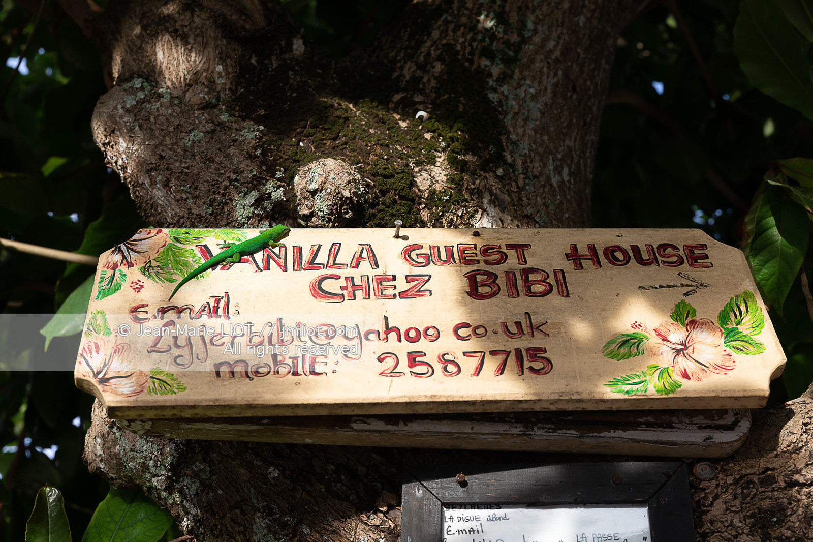 CROISIERE AUX ILES SEYCHELLES