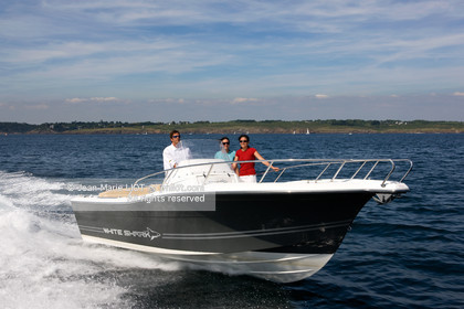 WHITE SHARK 226