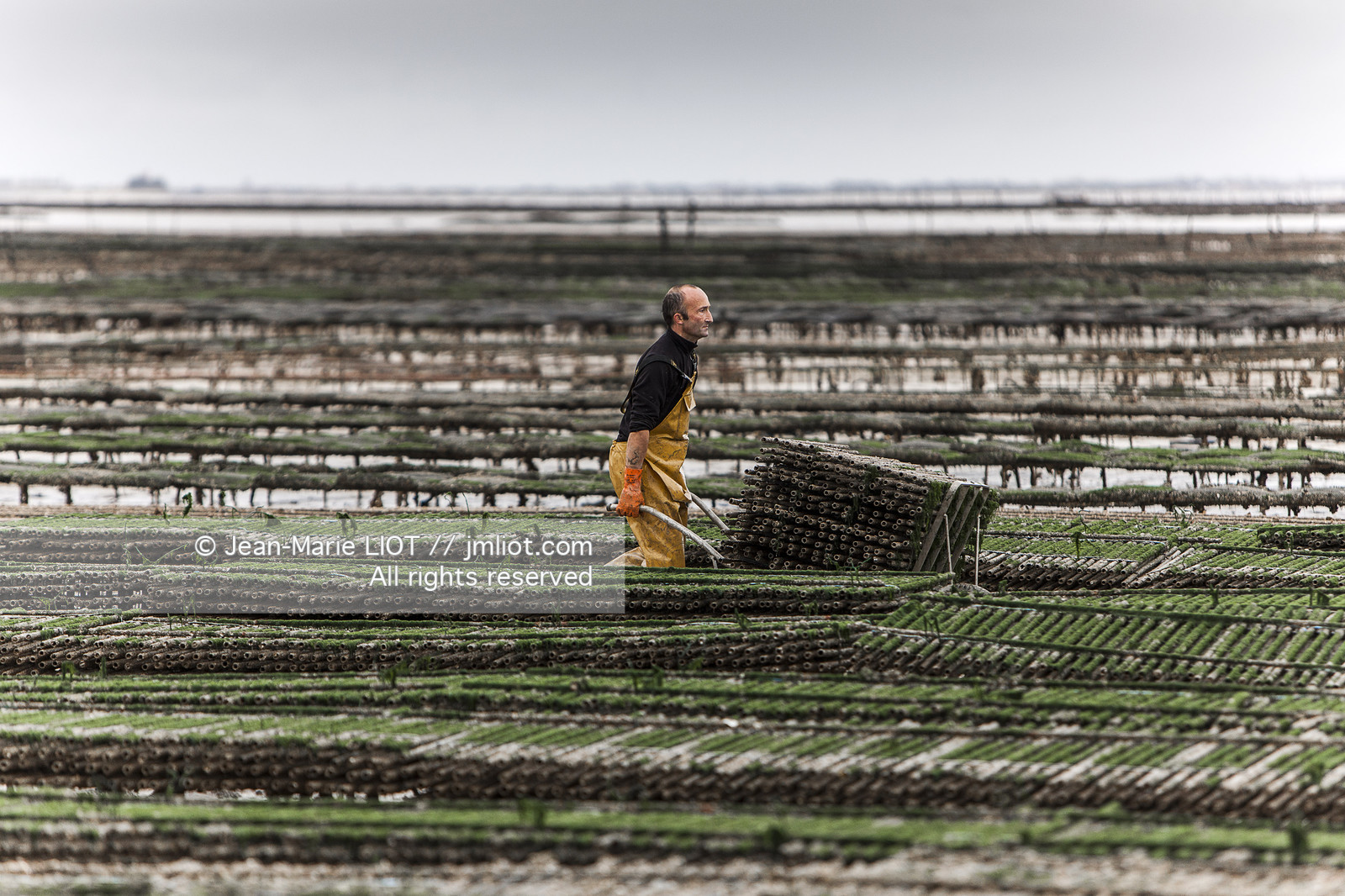 FERME OSTREICOLE.